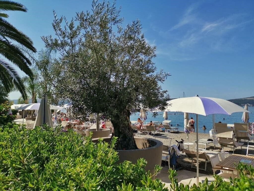 Villa Vera 2* суреті