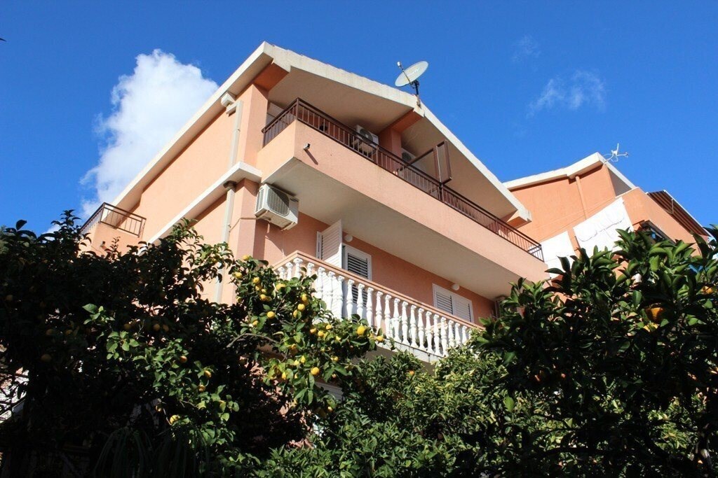 Картинка Zorka 3*