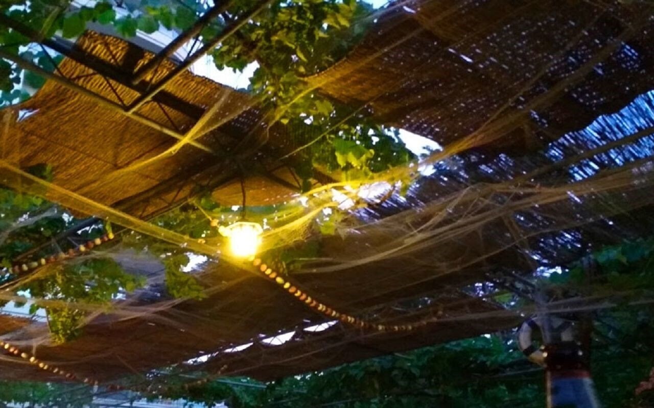 Apartments Ivo Apart 3* фотосуреті