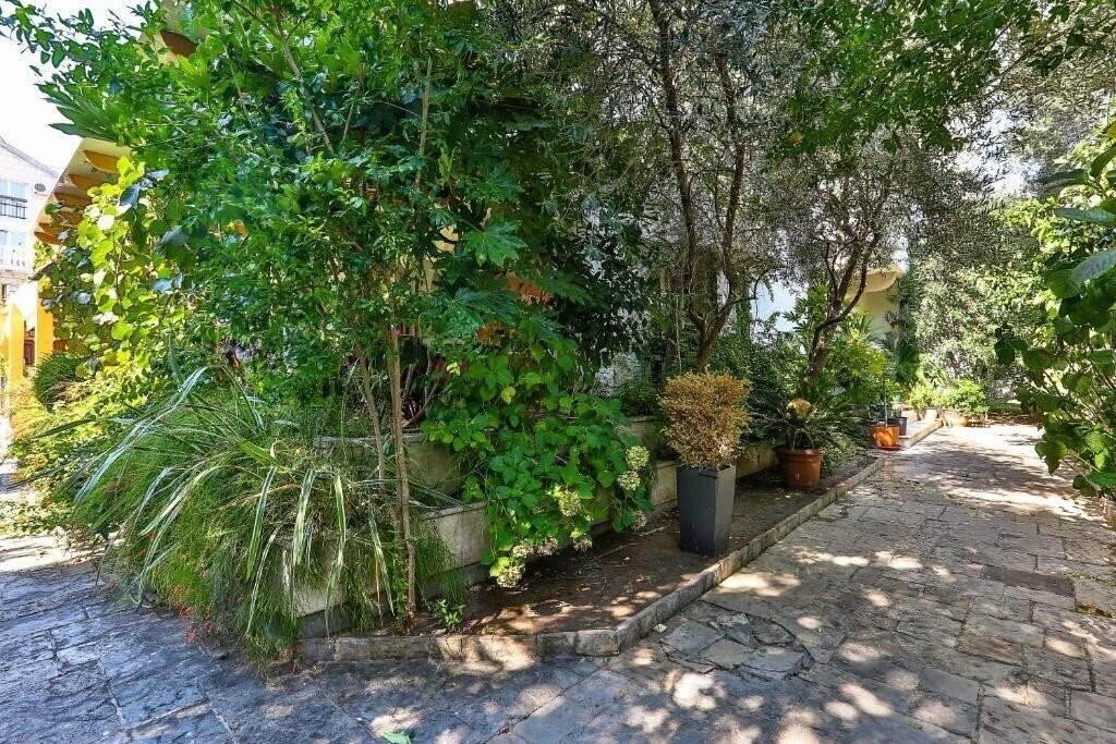 Velzon 3* суреті