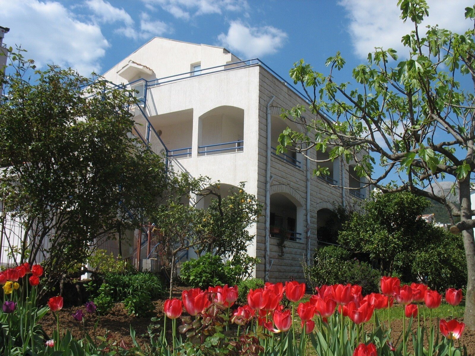 Фотография Markovic Gornii 3*