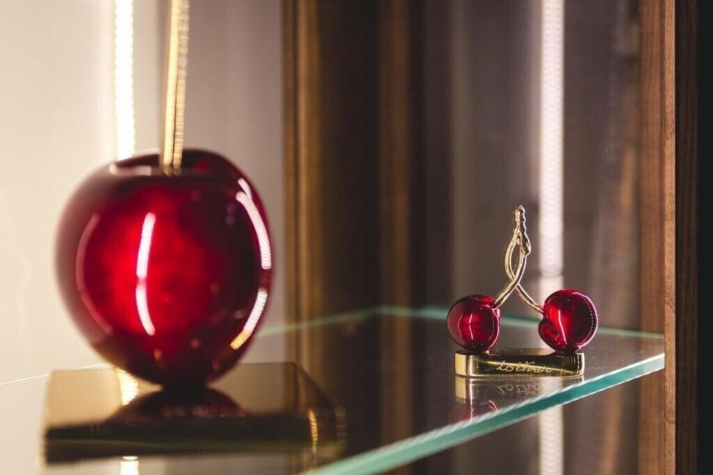 Vissi D'Arte 5* суреті