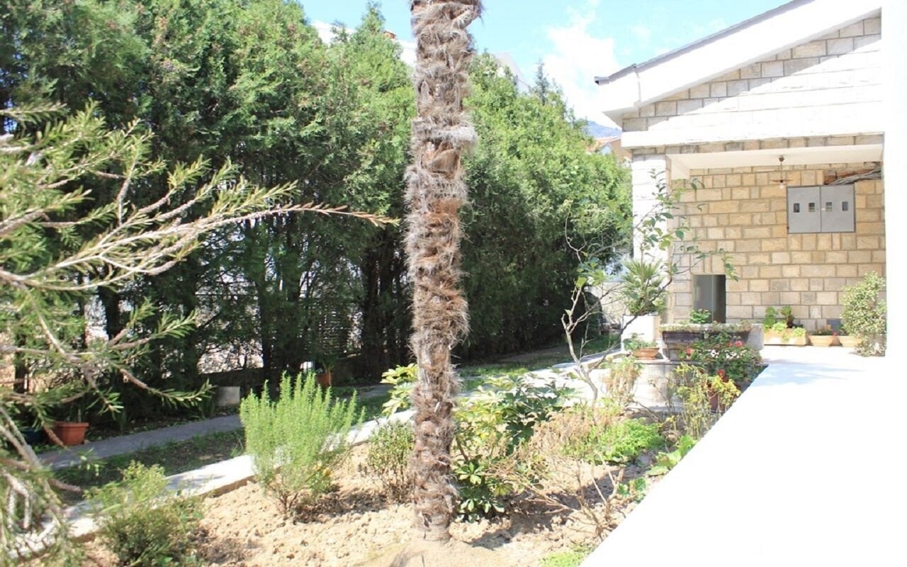 Villa Marea II 4* суреті