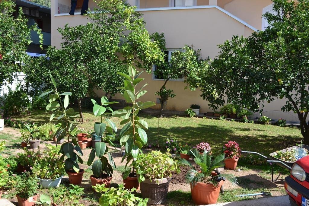 Villa Bastrica 3* суреті