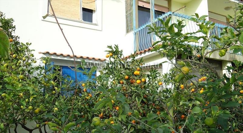 Фото Apartament Knezevic 4*