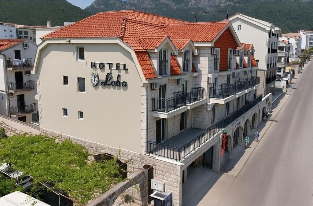 Отель Hotel Lobo 3*