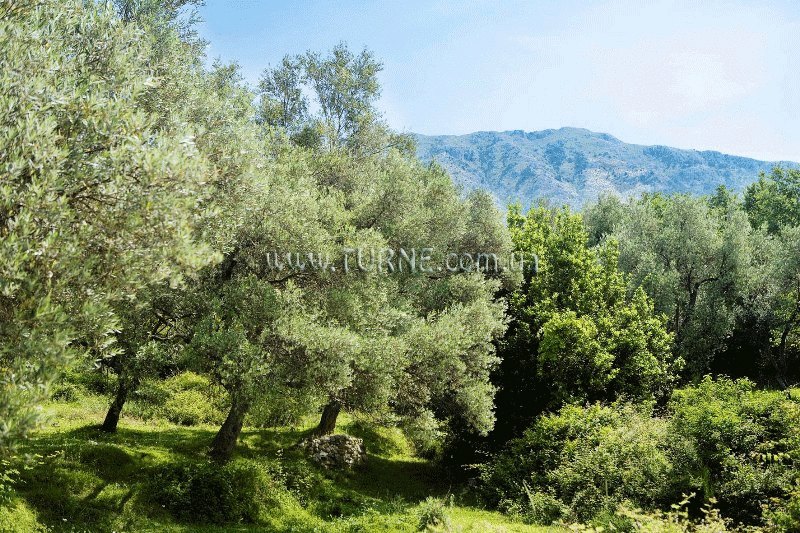 Изображение Montebay Hotel 4*