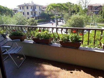 Фотография Jolly 3*