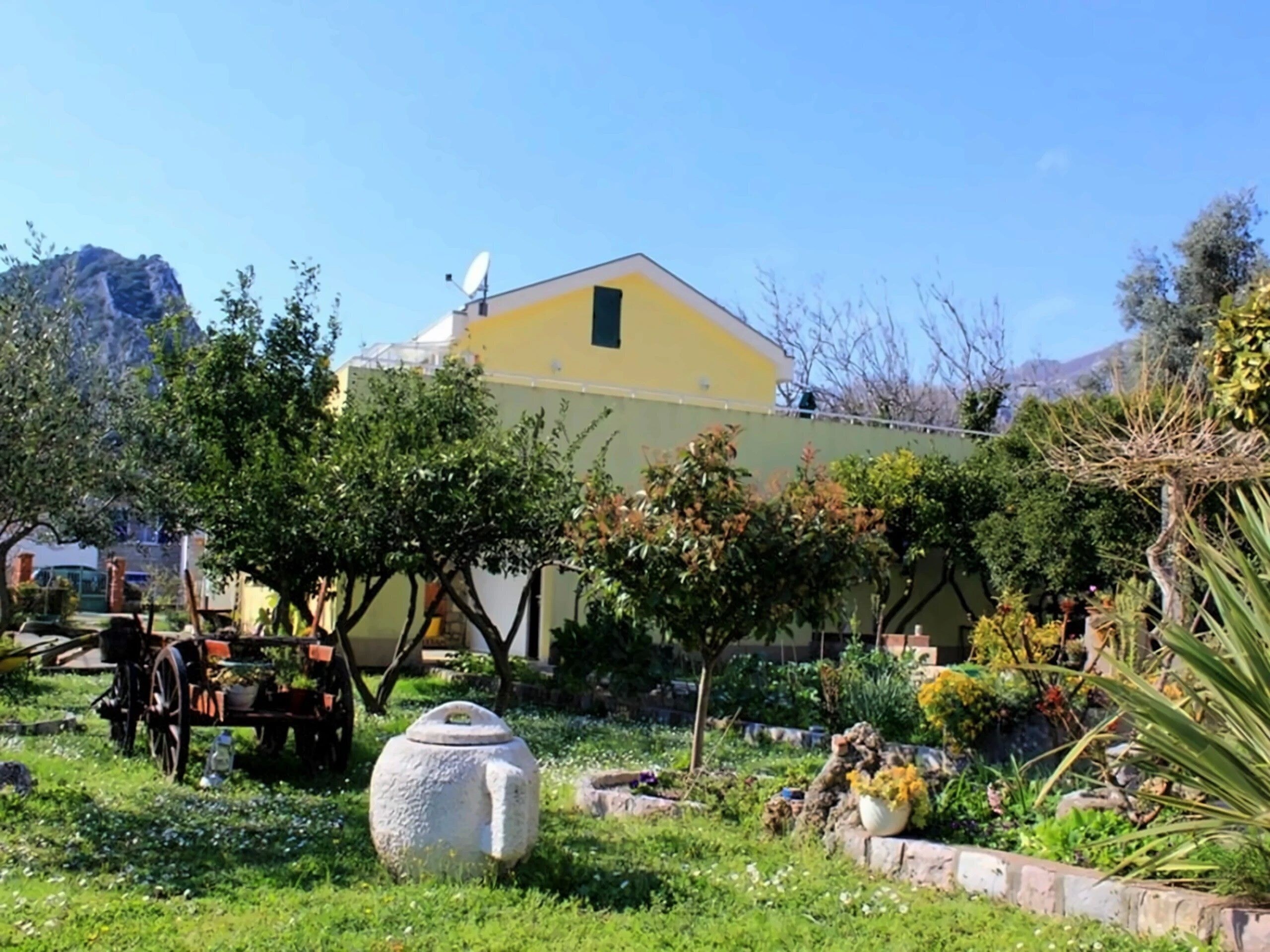 Отель Villa Larisa Budimic 3*