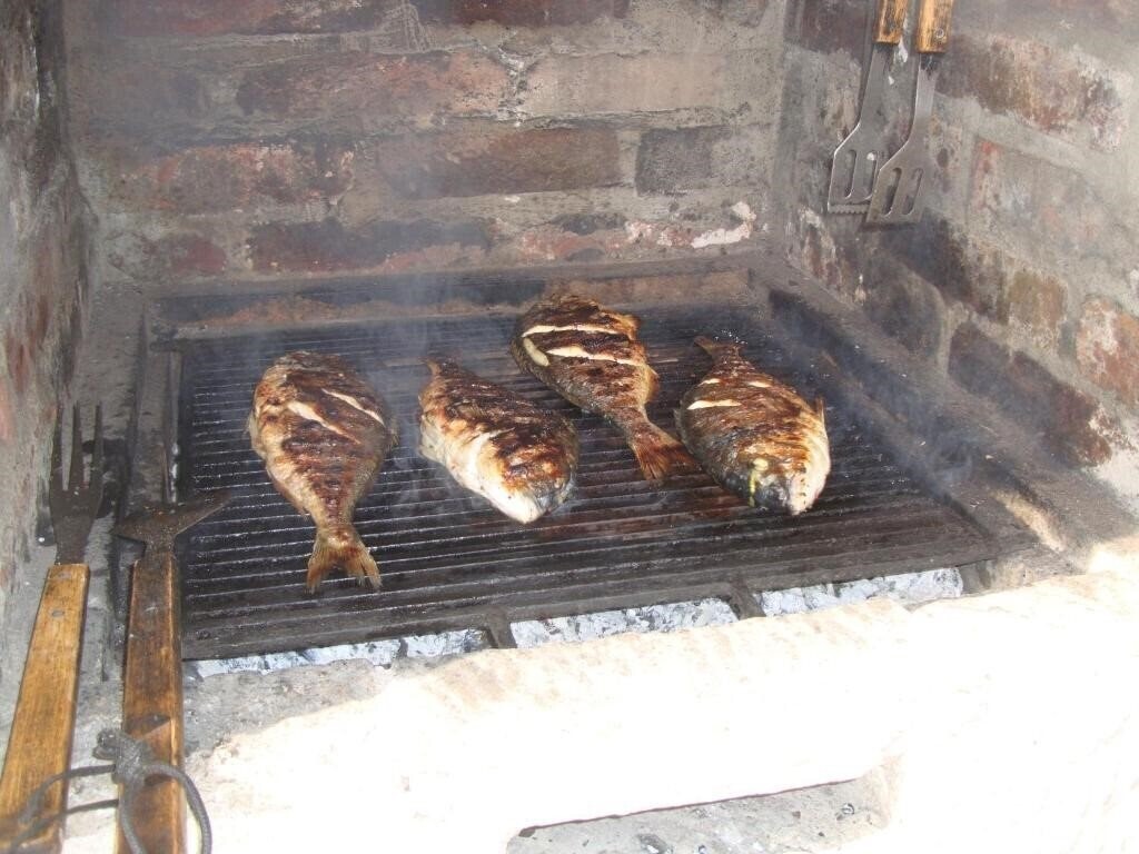 Изображение Zvicer 3*