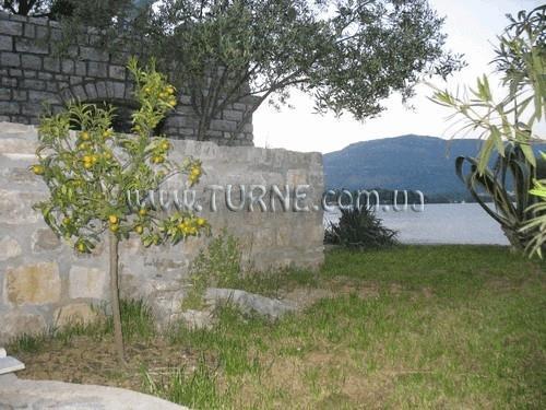 Фото House Djurasevici апартаменты