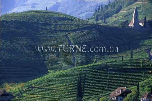 Отель Club Riviera 4*