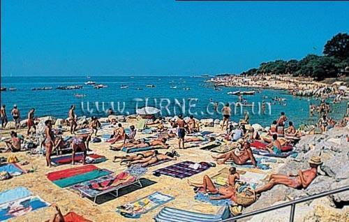 Изображение Delfin 4*