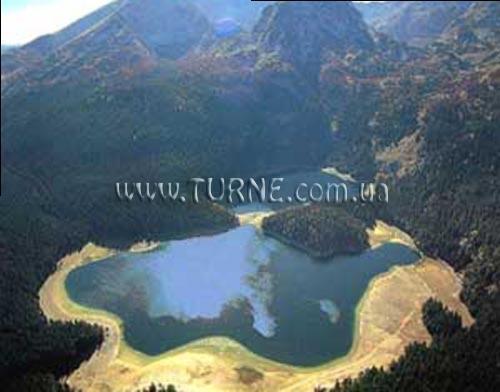 Фотография Delfin 4*