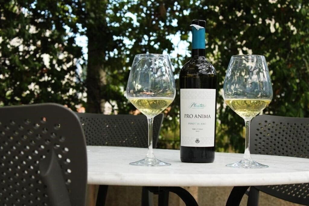 Фотография Villa Mila 4*