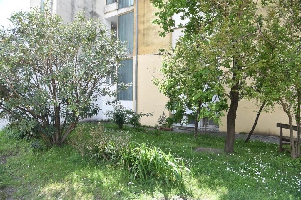 Картинка D&D Apartments Budva 1 4*