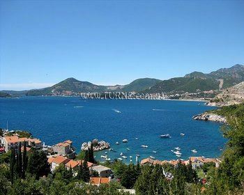 Roza 3* фотосуреті