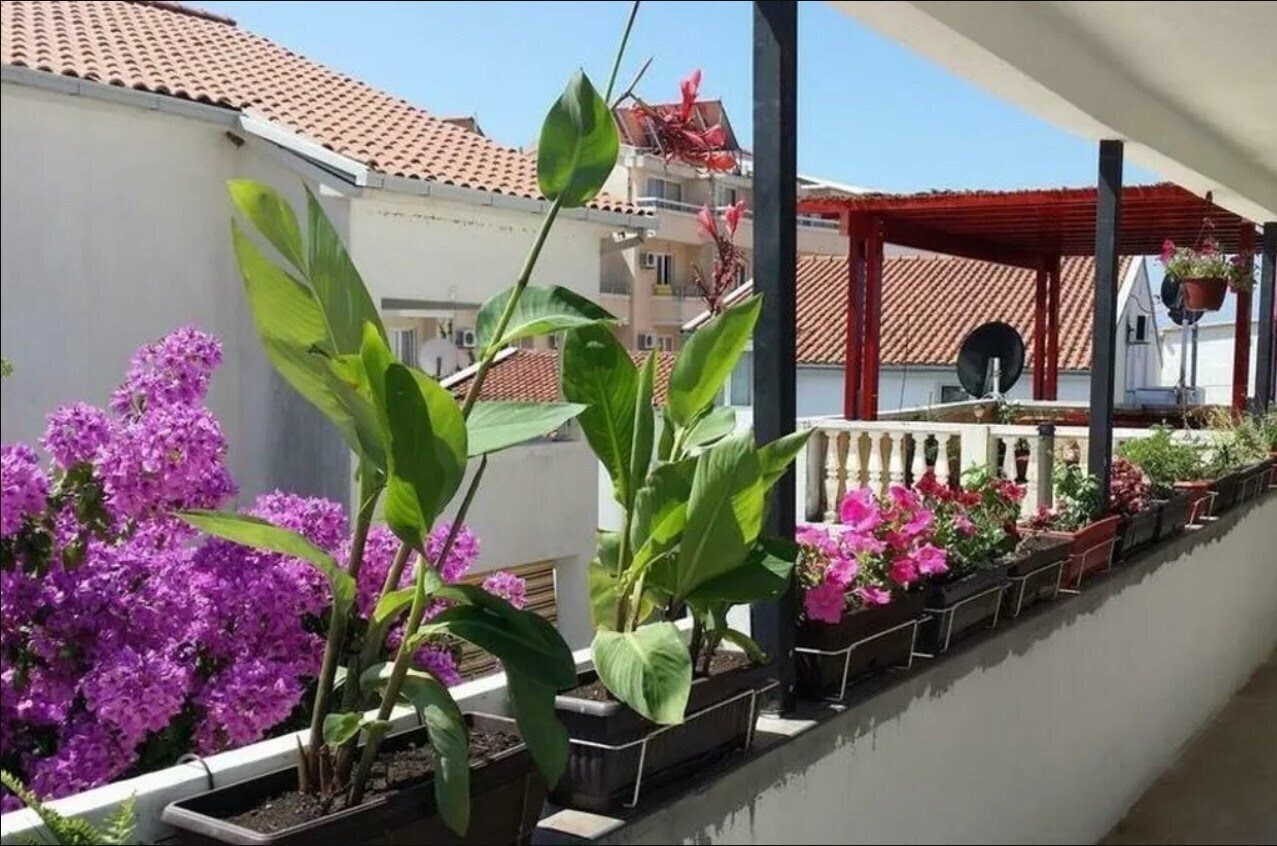 Kod Saicica 3* фотосуреті