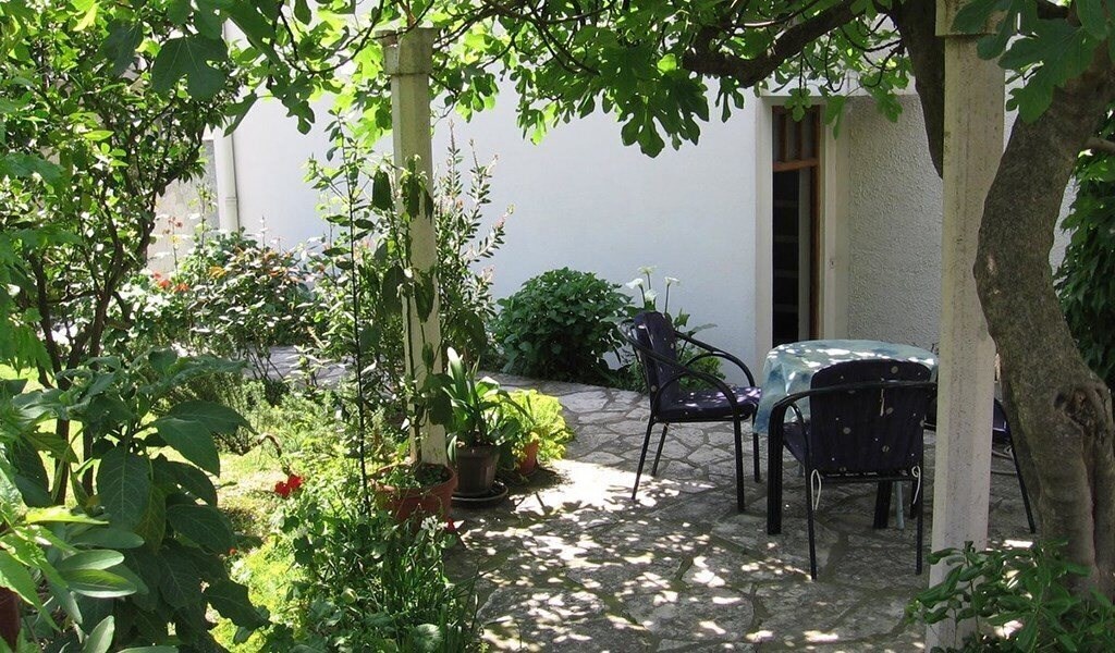 Jelena 3* фотосуреті