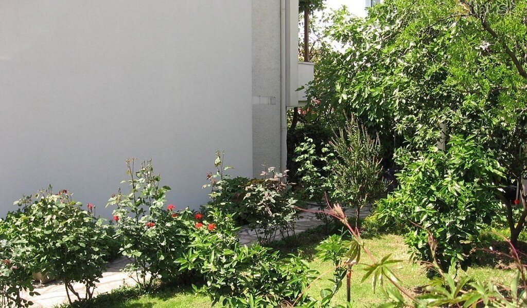 Jelena 3* суреті