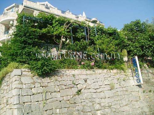 Vila Drago 4* суреті