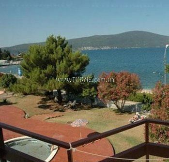 Изображение Kamelia 2*