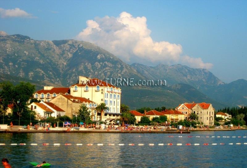 Jelton 3* суреті