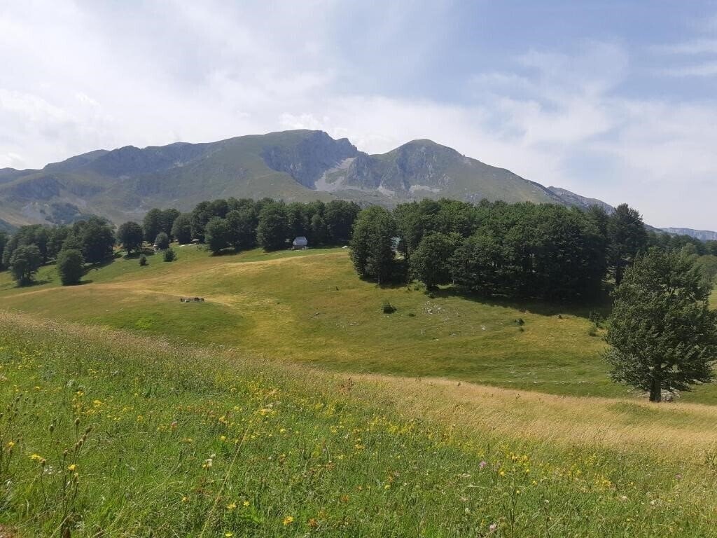 Фотография Apartments «Durmitorski Konak» 3*