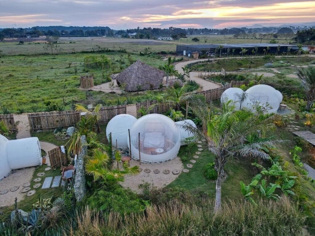 Green Land Bubble Glamping 2* суреті