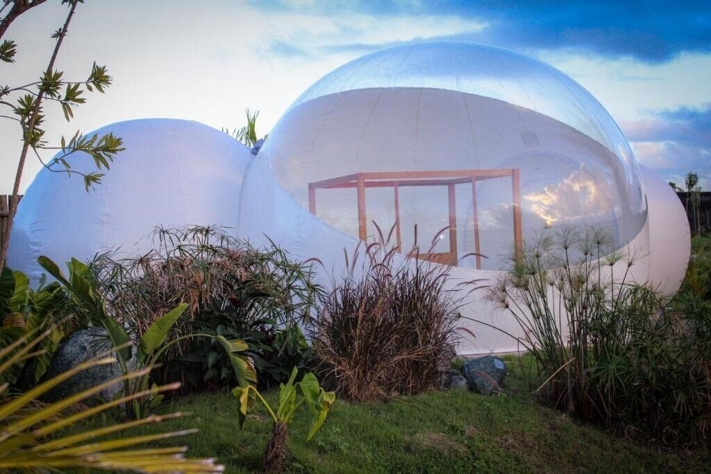 Green Land Bubble Glamping 2* суреті