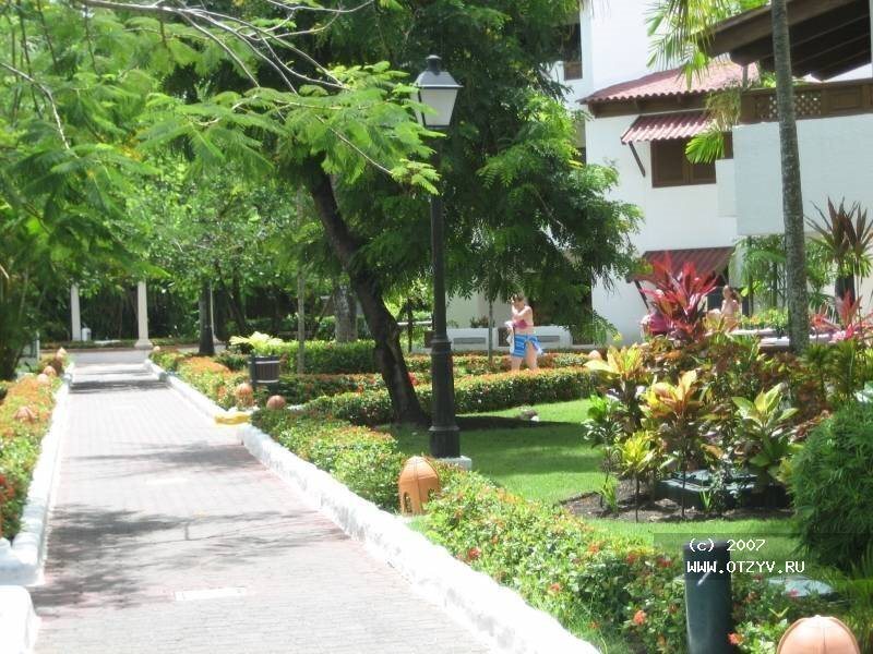 Barcelo Puerto Plata 4* суреті