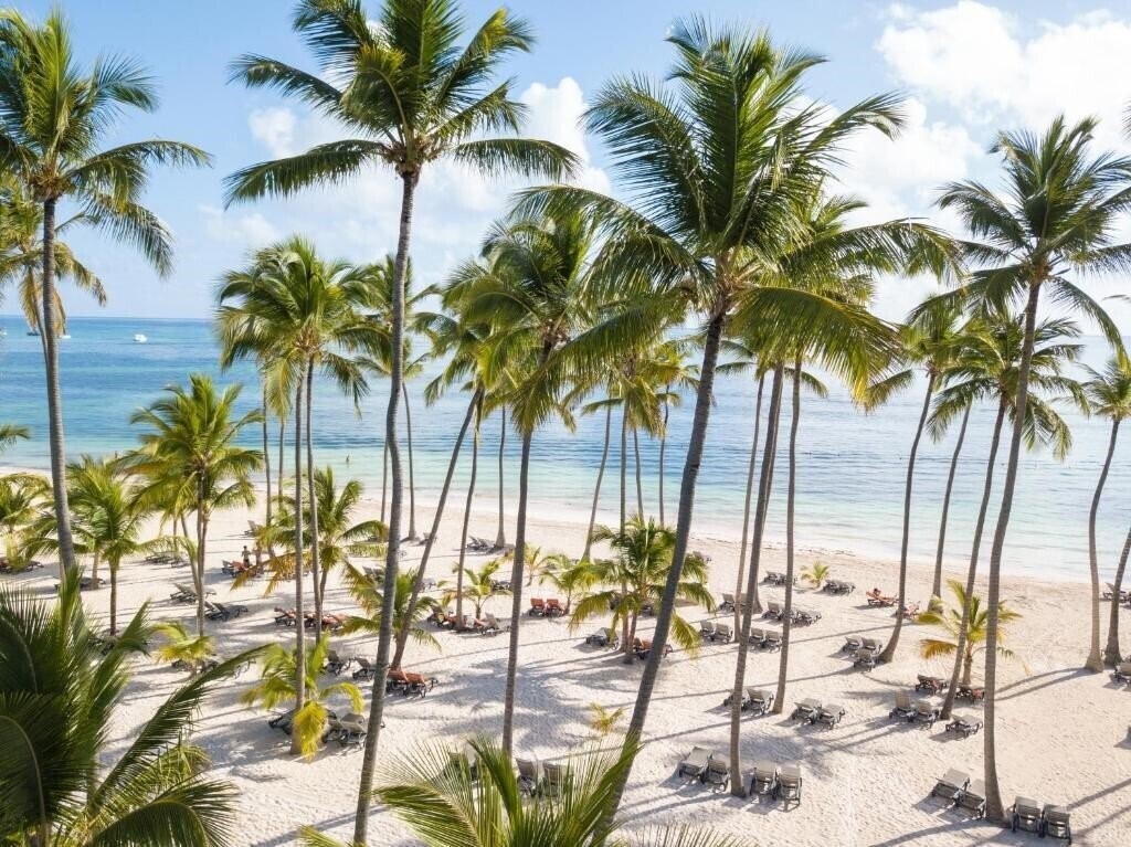 Фото Club Premium Deluxe Barcelo Bavaro Palace Deluxe 5*