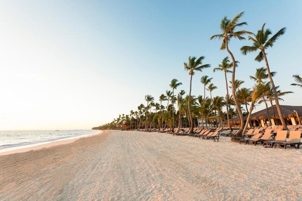 Occidental Grand Flamenko Punta Cana 4* суреті