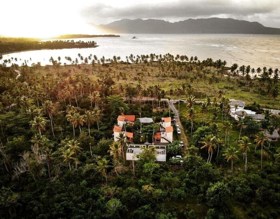 Картинка 21 Palms 3*