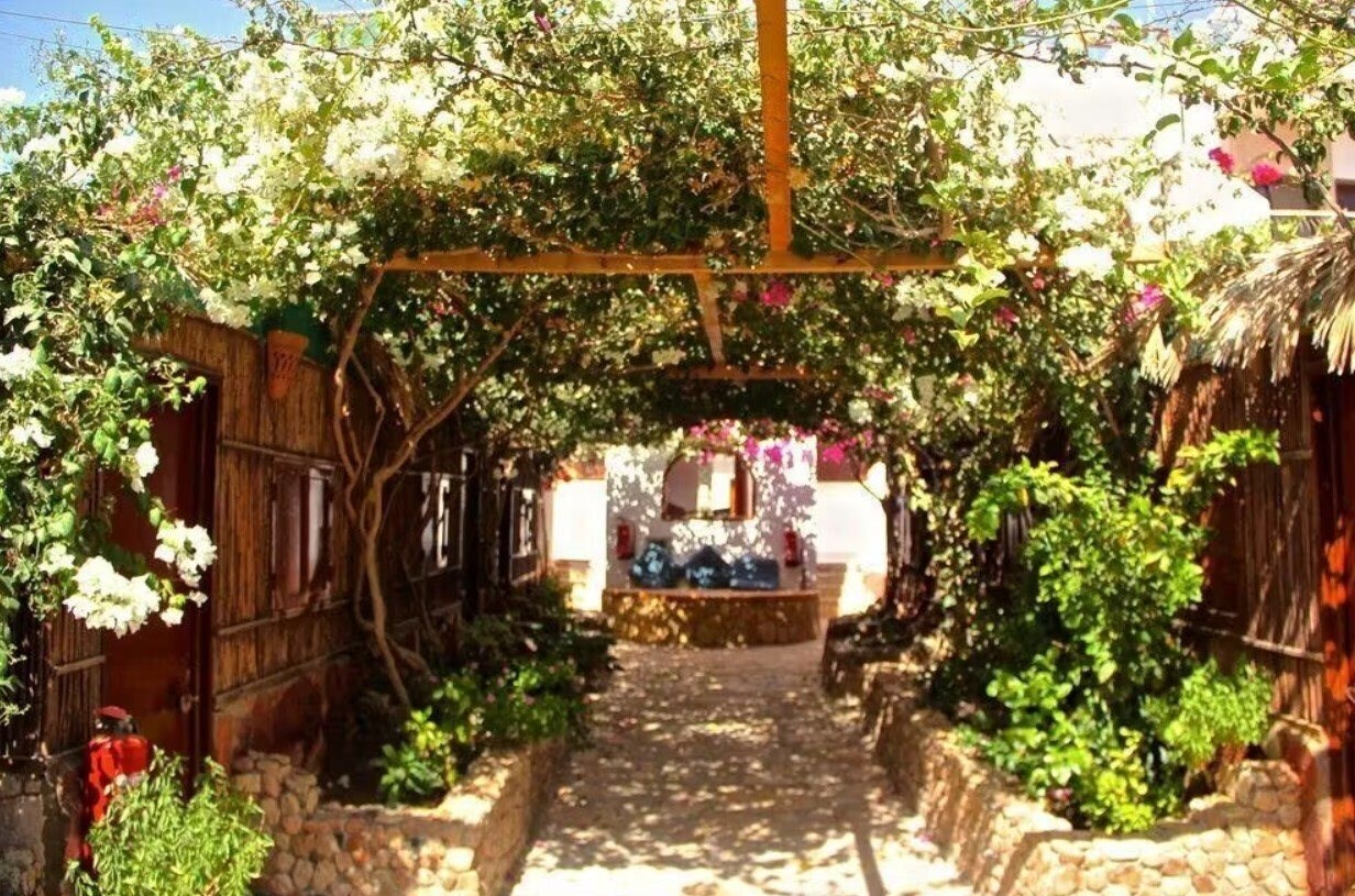 Отель Amanda Yoga 2*