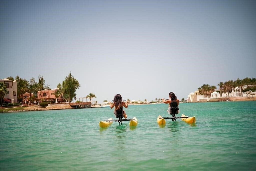 Ali Pasha 3* суреті