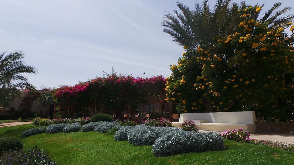 Sultan Bey Hotel 4* суреті