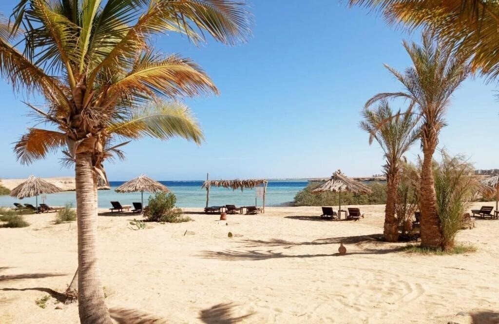 Изображение Mangrove Bay Resort 3*