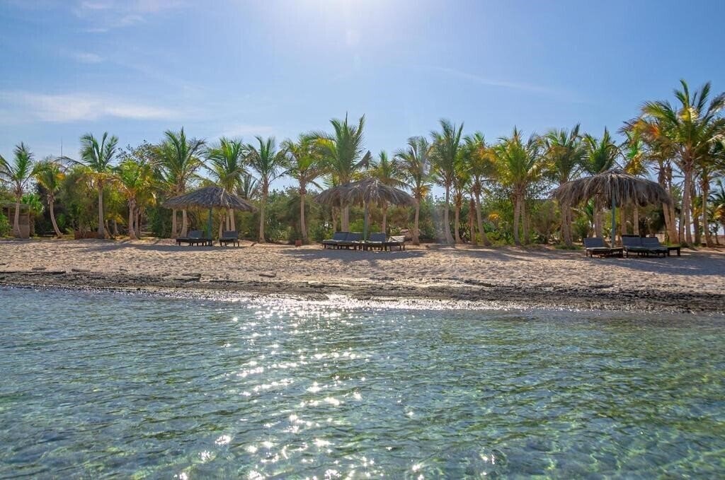 Картинка Mangrove Bay Resort 3*