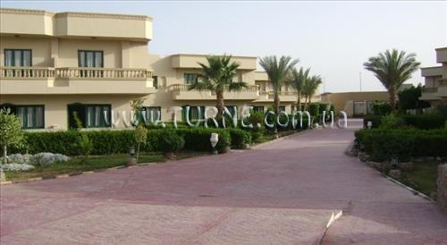 Фотография Nefertiti Sun Flower 4*