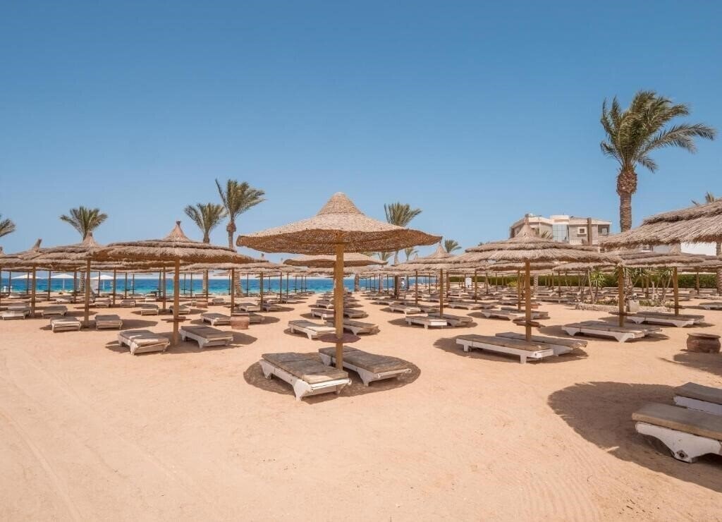 Фотография Seagull Beach Resort 4*