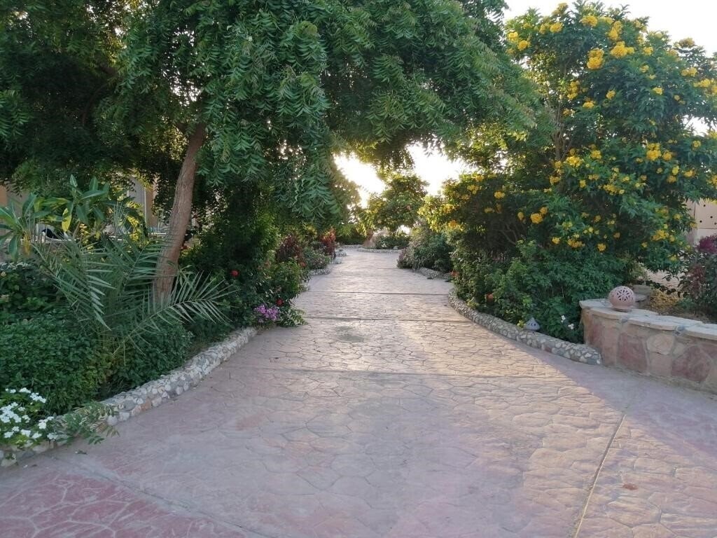Silver Beach Redsea Resort 3* суреті
