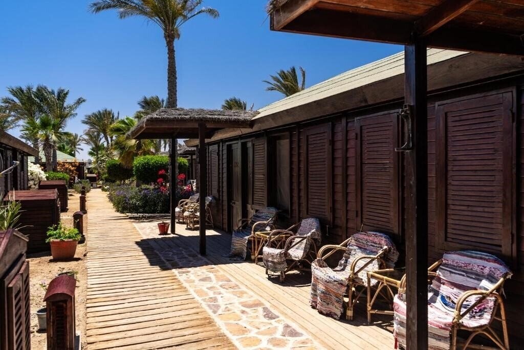 Abou Dabbab 3* суреті