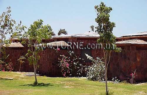 Изображение Safari Beach Resort Nuweiba 3*