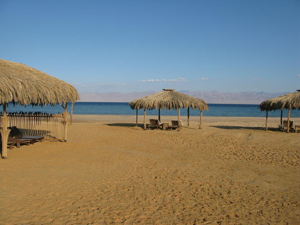 Swisscare Nuweiba Resort 3* суреті