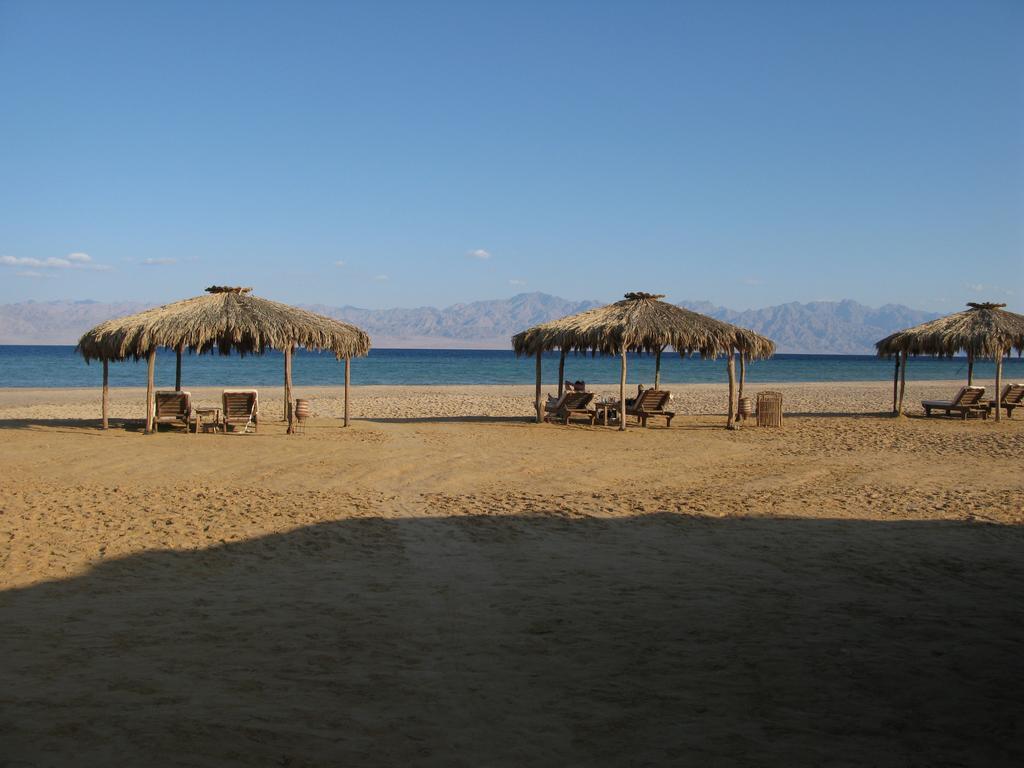 Swisscare Nuweiba Resort 3* суреті