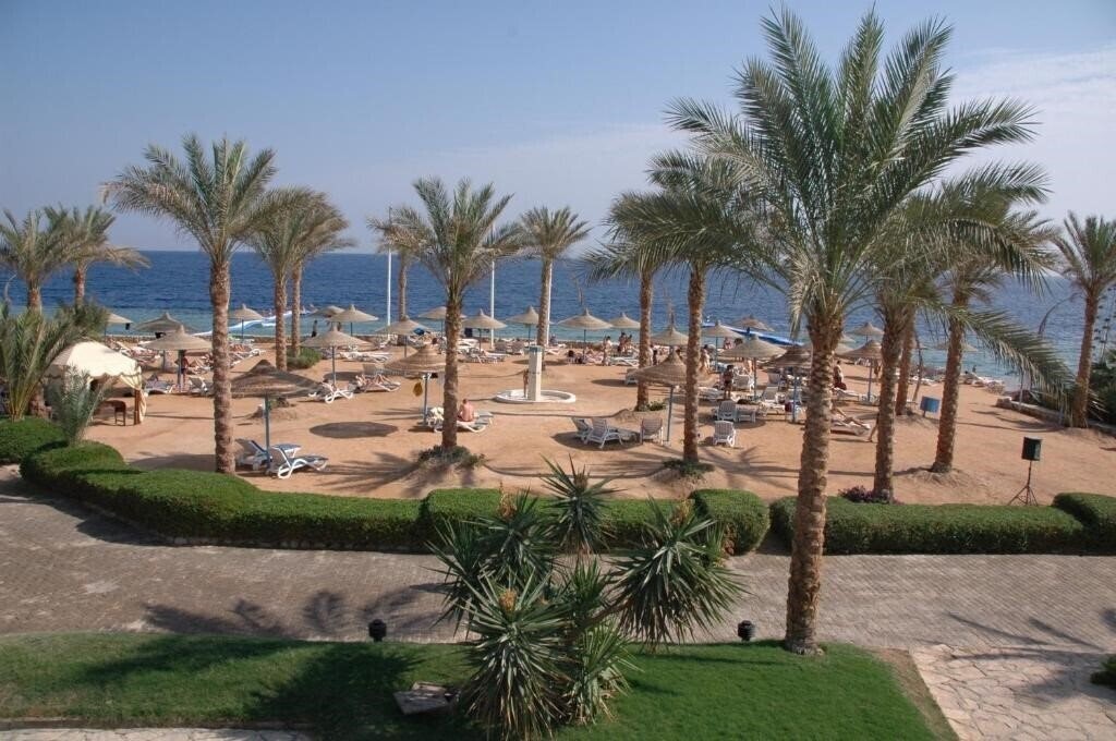 Queen Sharm Resort (ex. Vera Club Queen Sharm Beach) 4* суреті