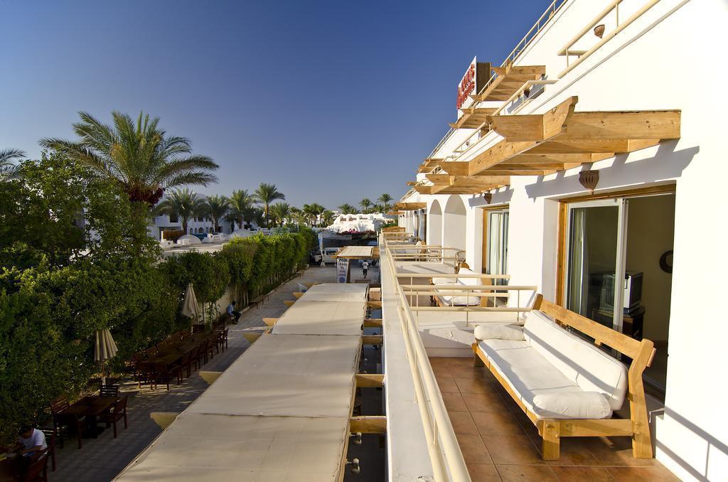 Oonas Dive Club 3* фотосуреті