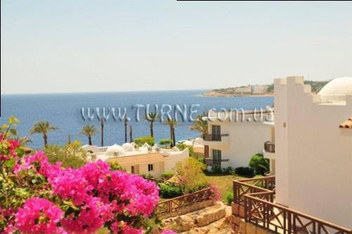 Изображение Dessole Nesco Waves 4*