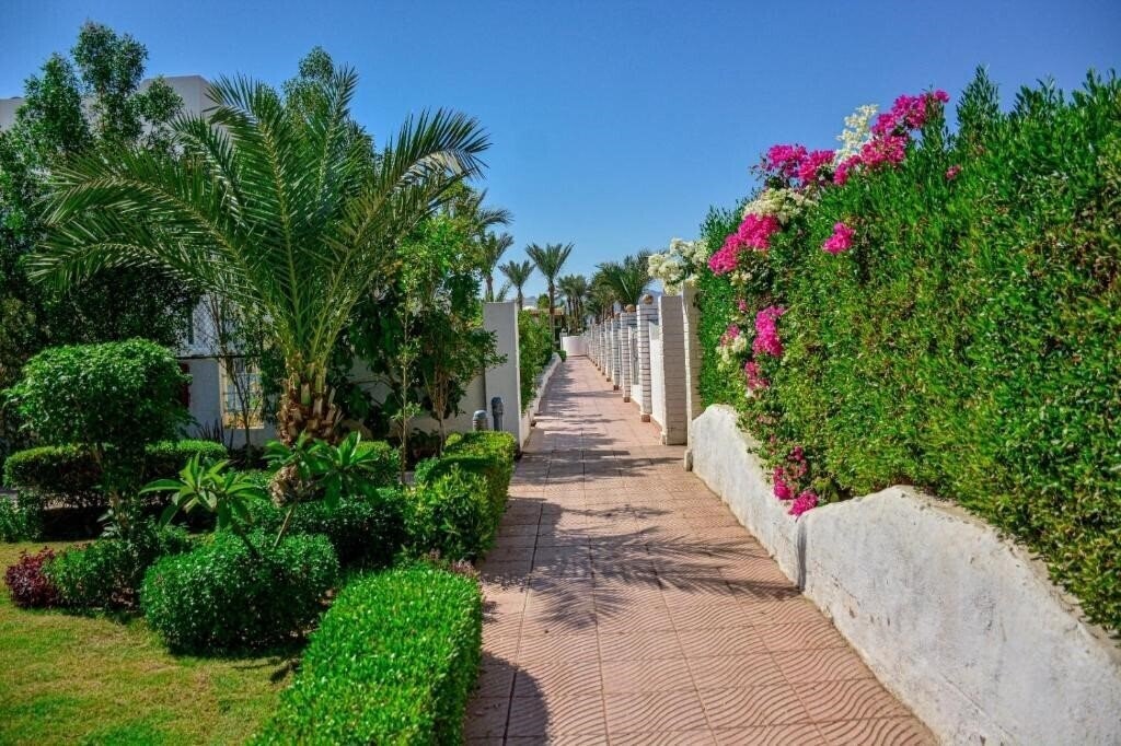Картинка Desert View Sharm 3*